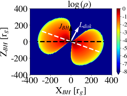 Initial density profile (Moncrief torus)